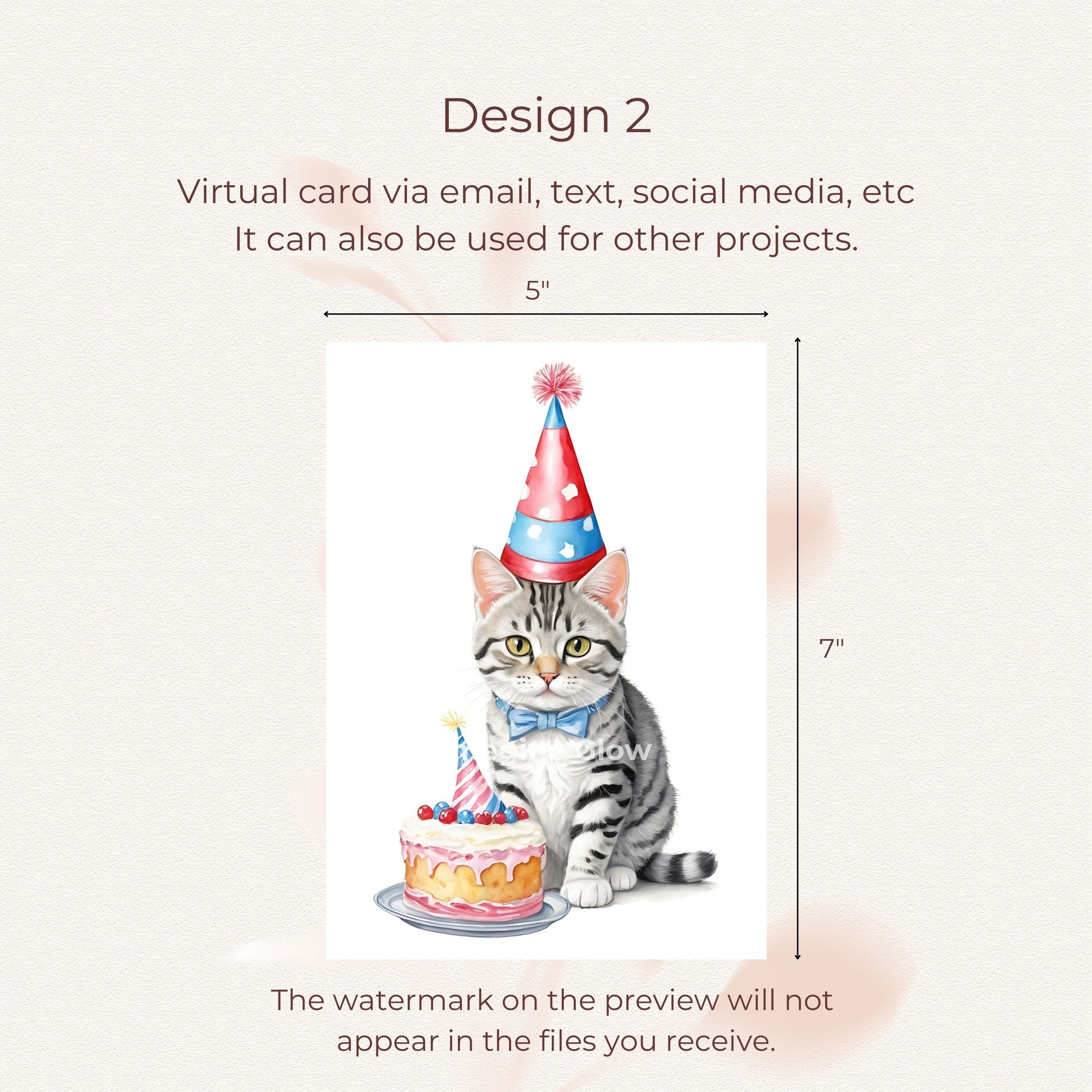 A colorful birthday card featuring a fluffy American Shorthair Cat.