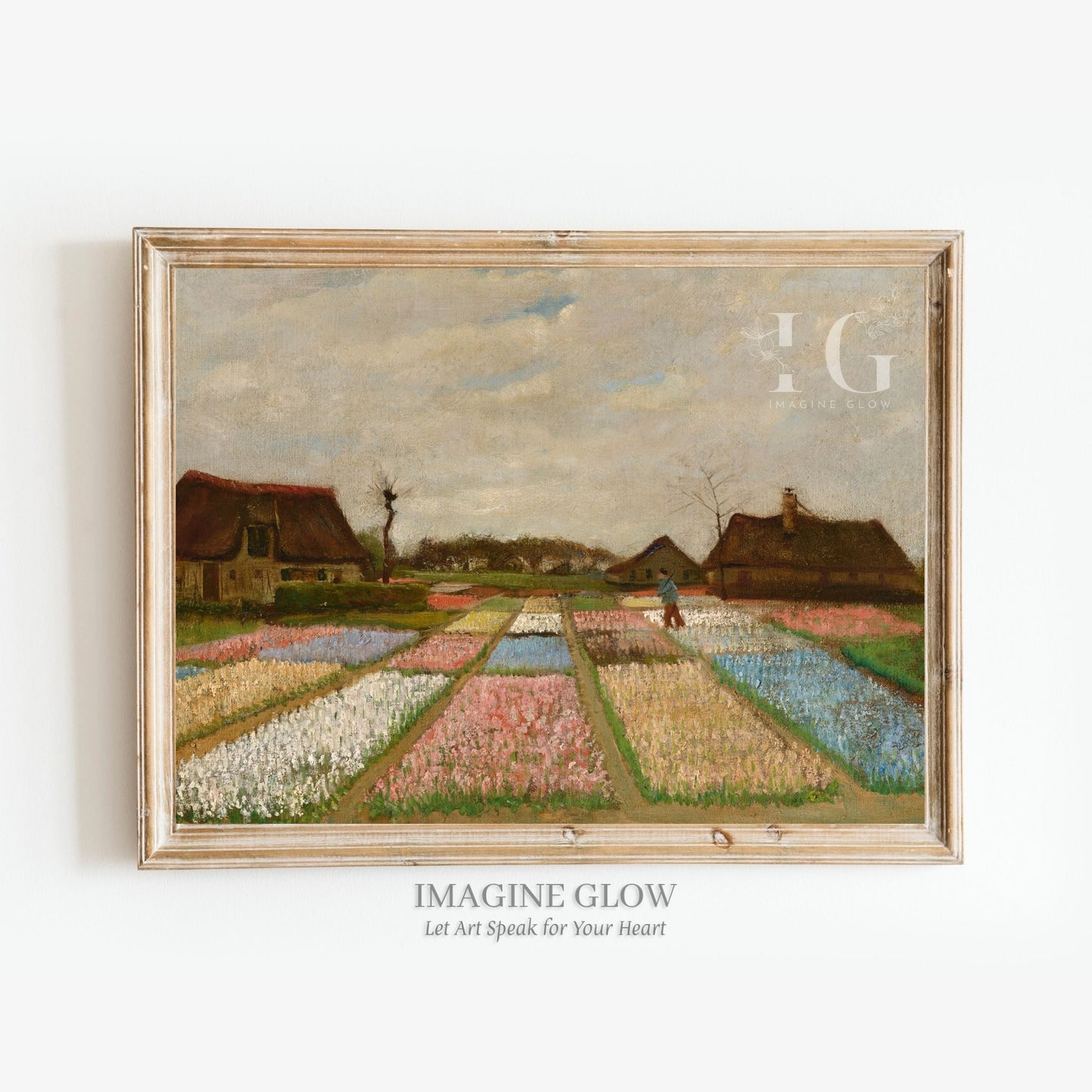 Colorful Dutch flower fields landscape in vintage style