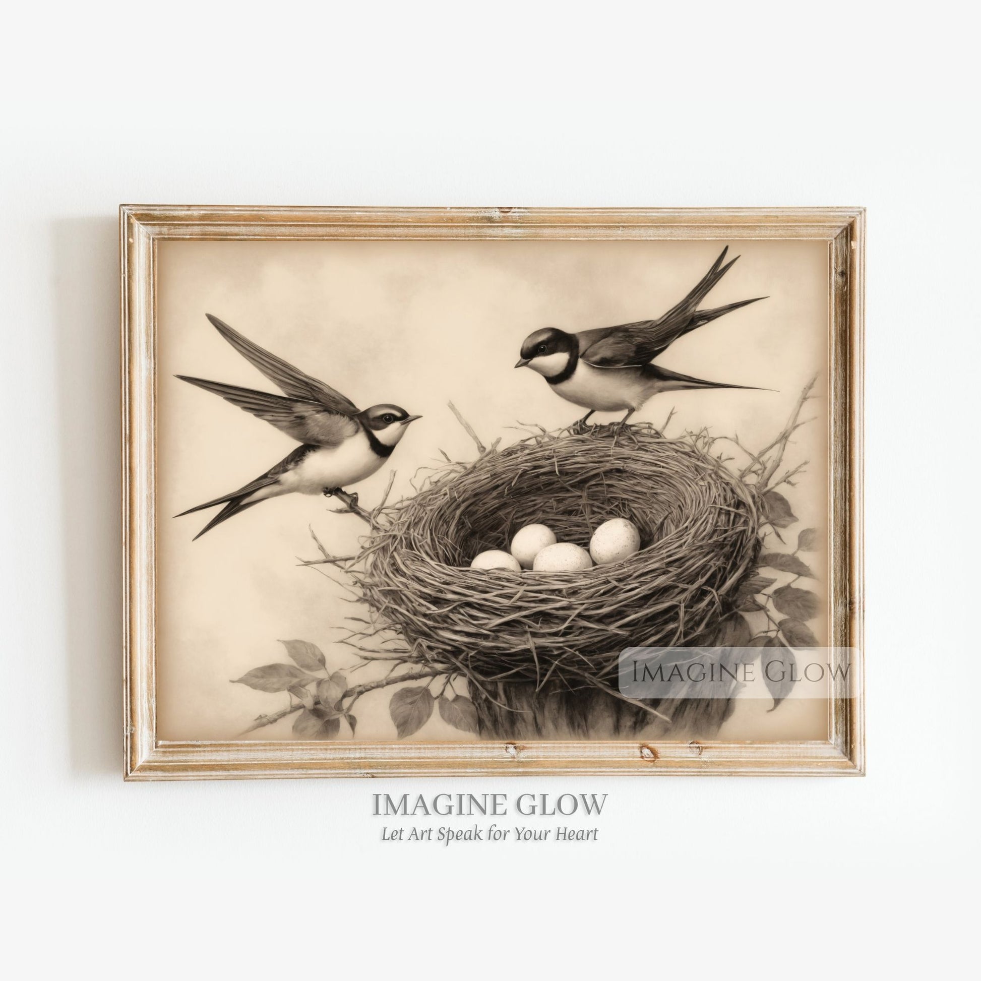 Vintage swallow bird nest and eggs art print