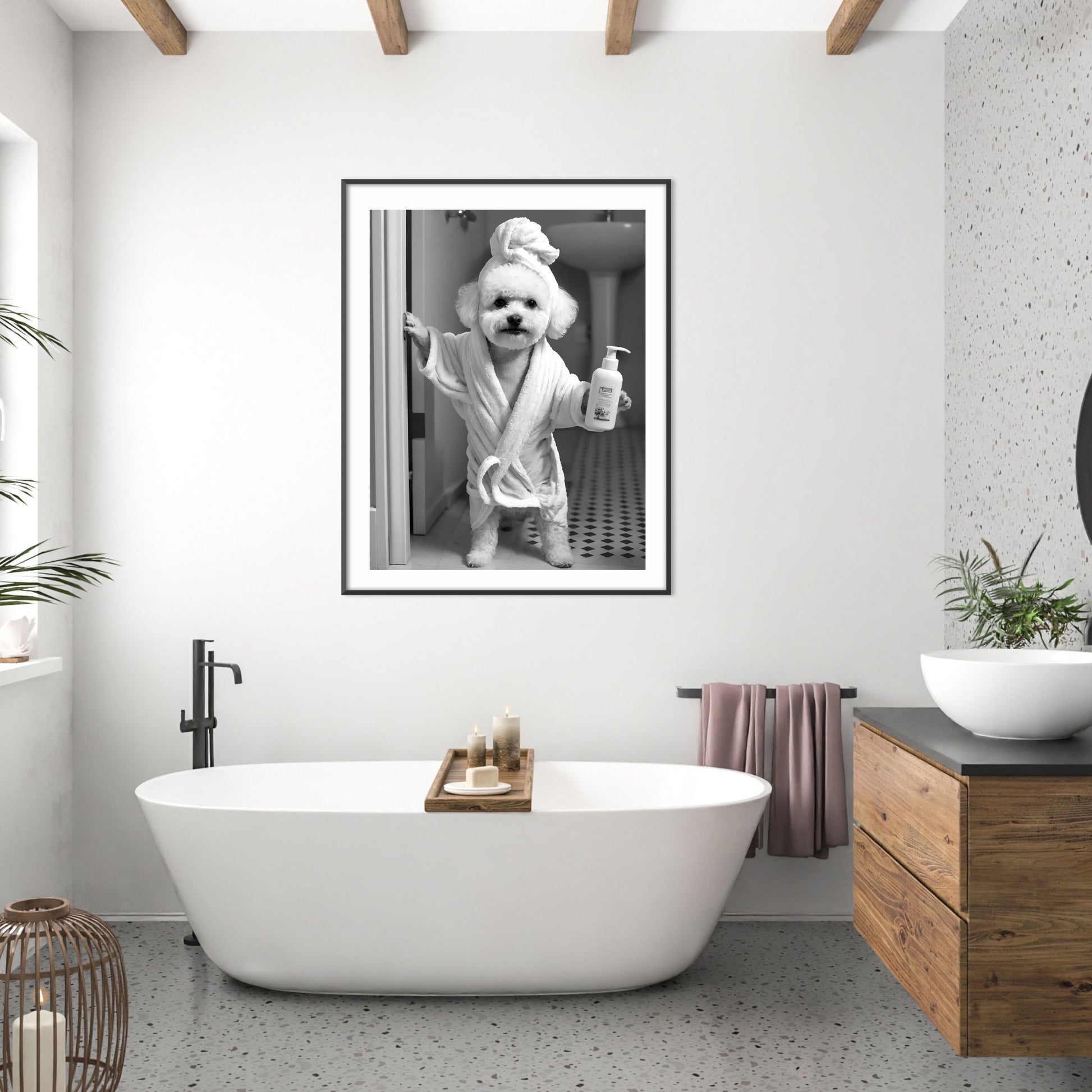 lack and white Bichon Frise print for restroom wall art and decor.
Funny bathroom photo of a Bichon Frise taking a bath in a bathtub.