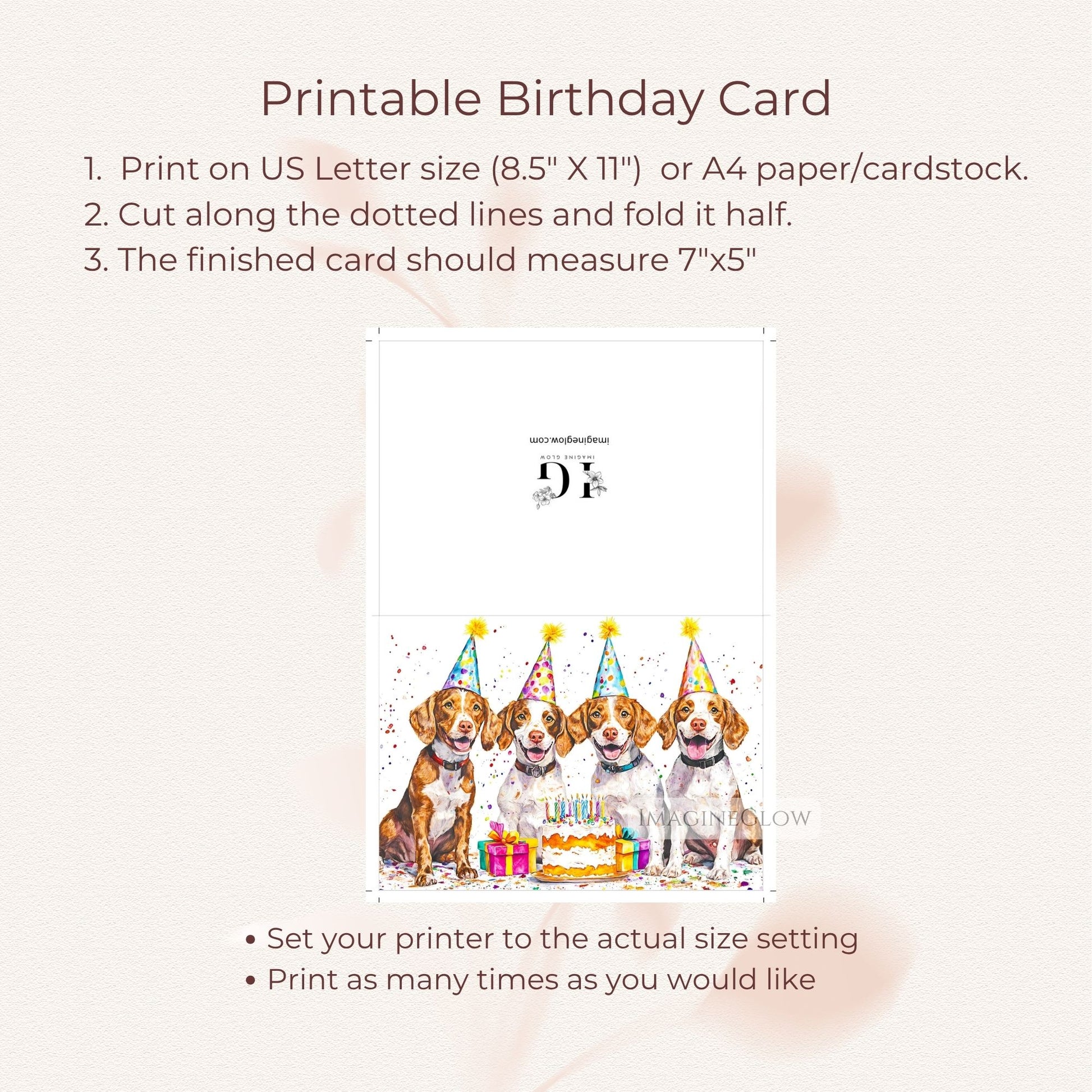 Brittany puppy printable card
Brittany greeting card digital
Brittany Spaniel birthday card