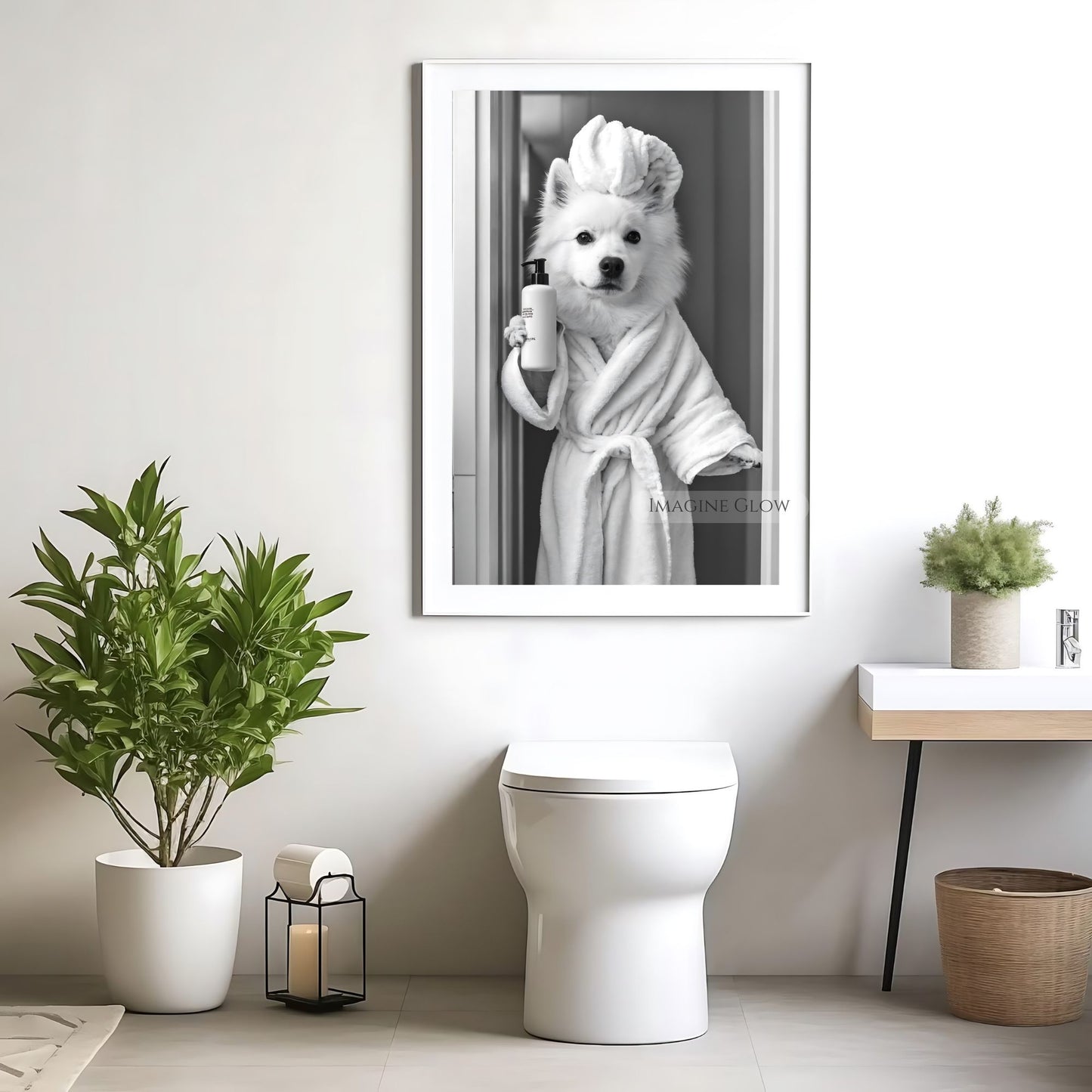 Funny Samoyed dog in a bathrobe, black-and-white bathroom art