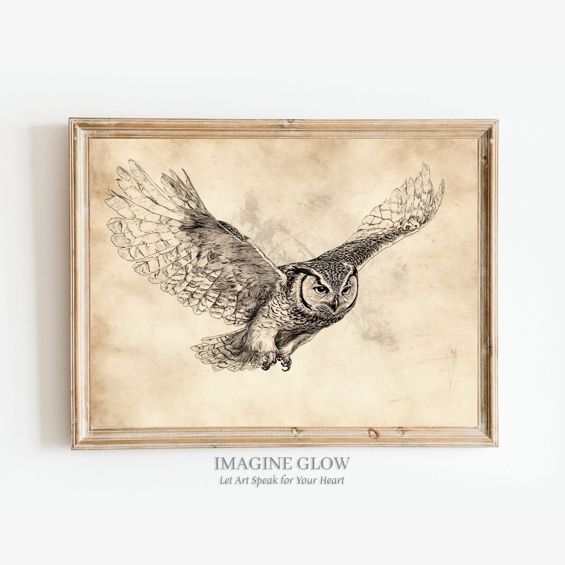 Barn owl vintage sketch for rustic decor.