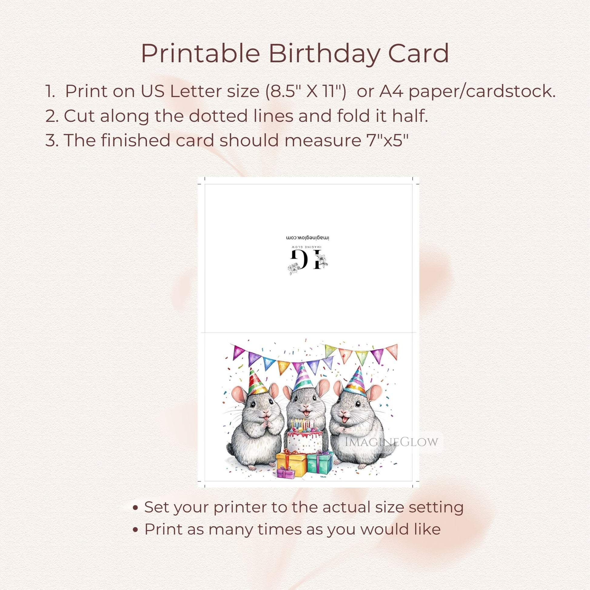 chinchilla birthday greeting
animal lover birthday card
chinchilla pet birthday card