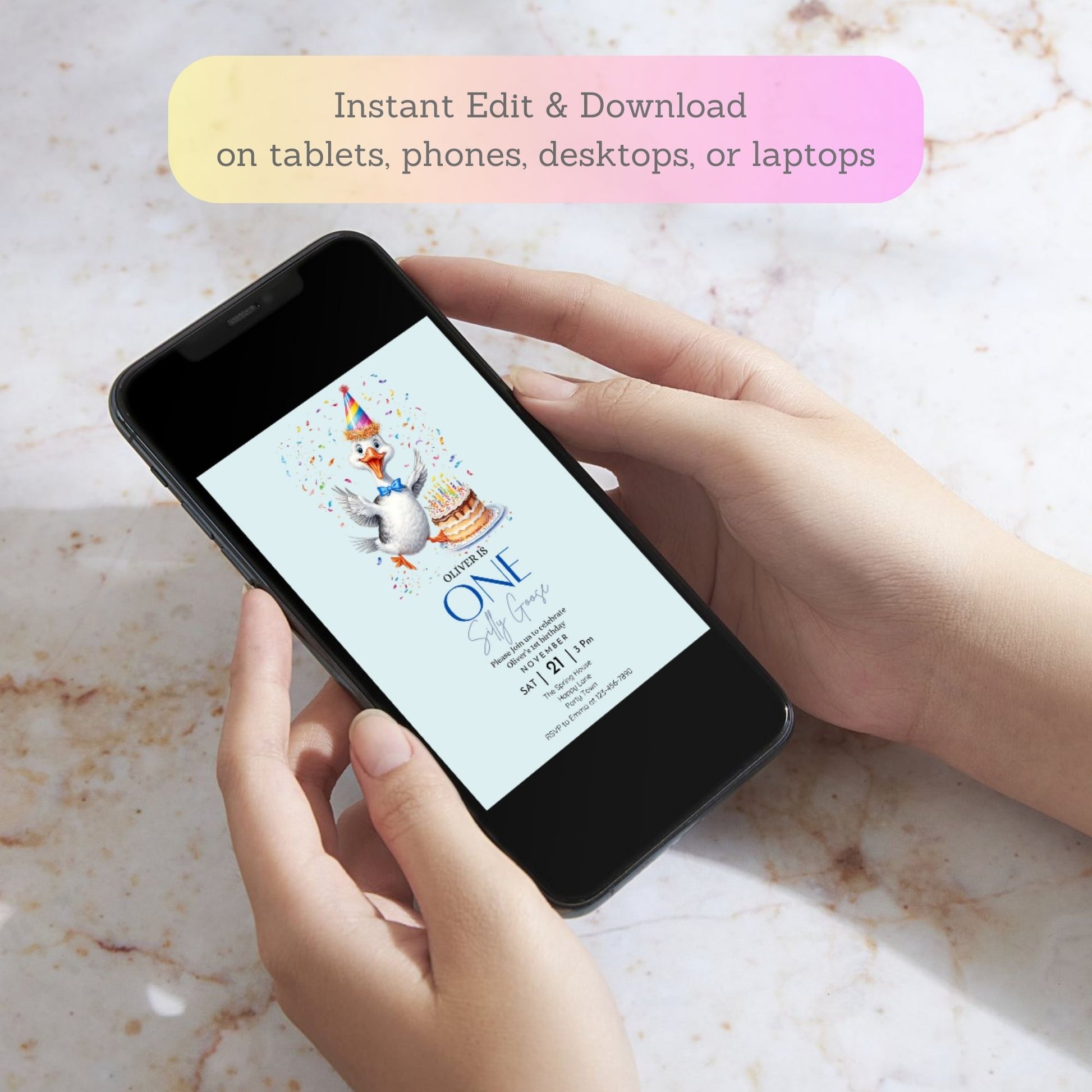 Editable silly goose birthday invite for baby boy