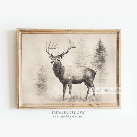 Detailed vintage stag sketch for rustic home decor.