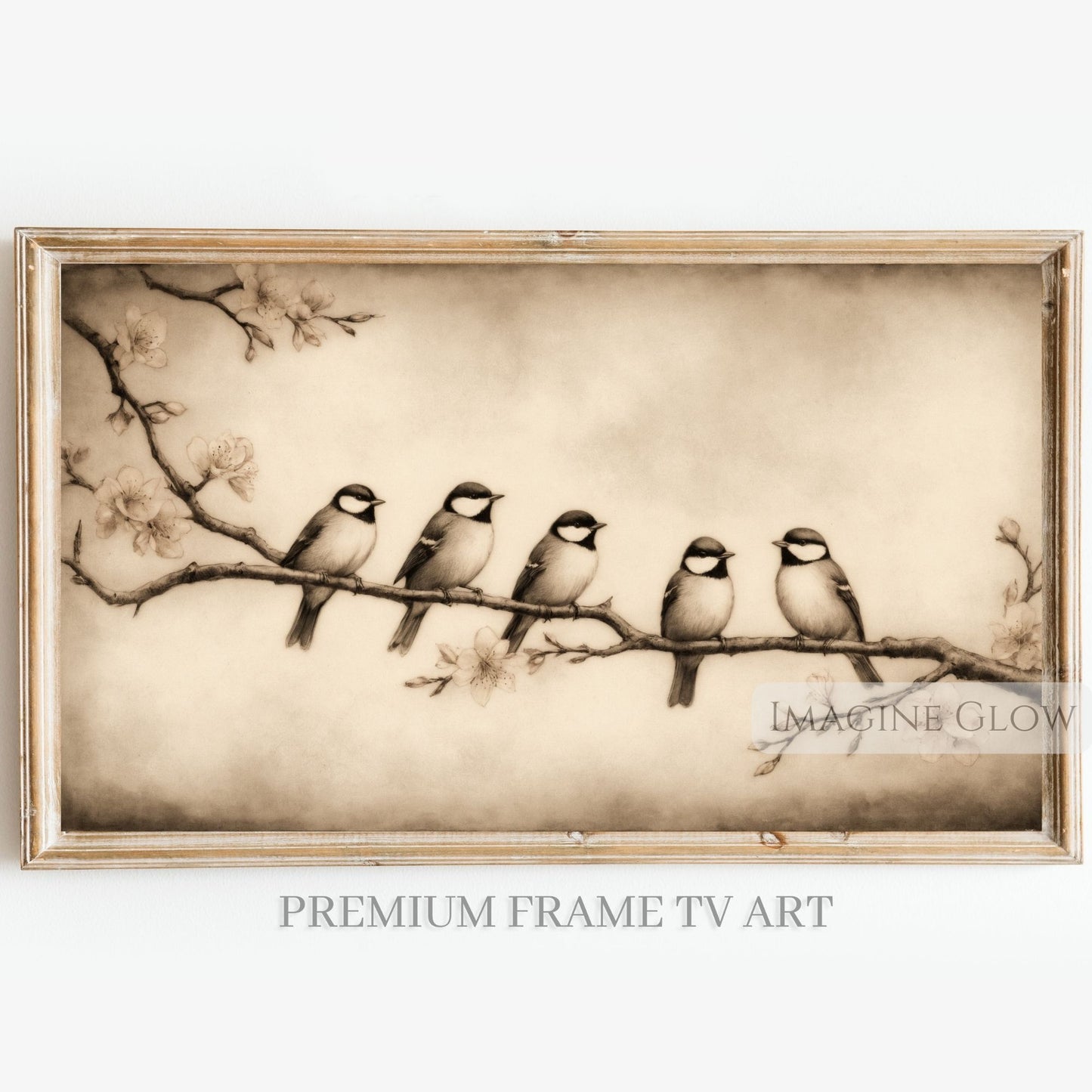 Antique-style bird illustration for Samsung Frame TV
Ornithology bird artwork digital download for TV
