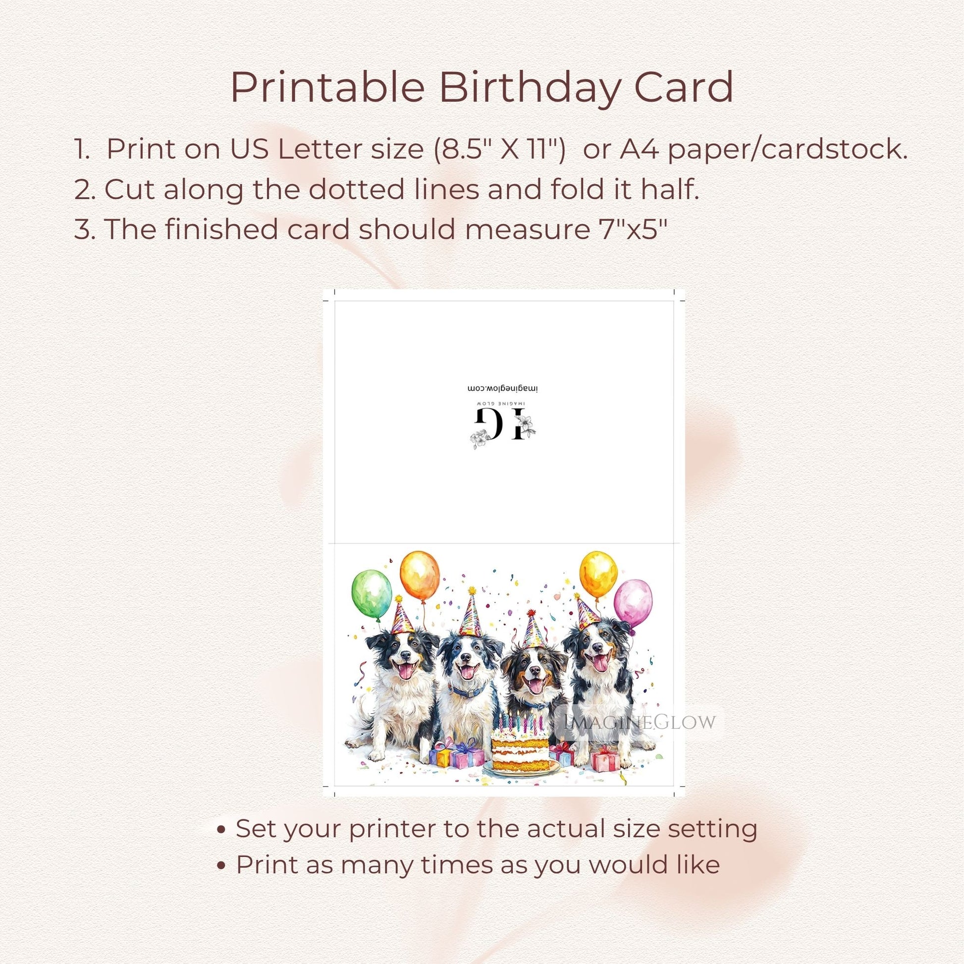 cute Border Collie puppy card
folded Border Collie birthday card