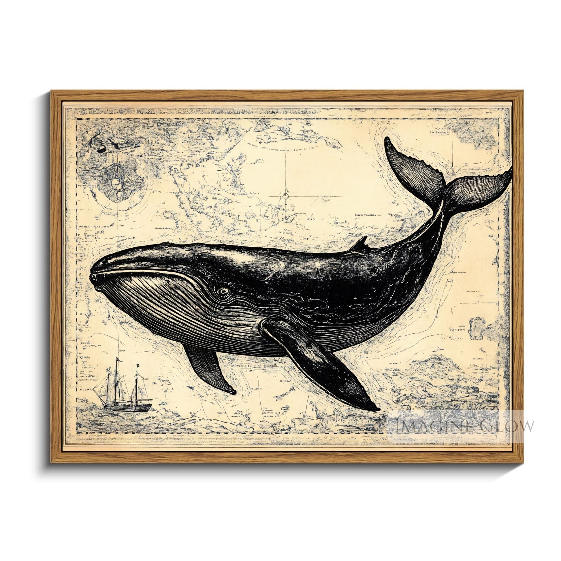 Hand-drawn whale illustration in vintage style.