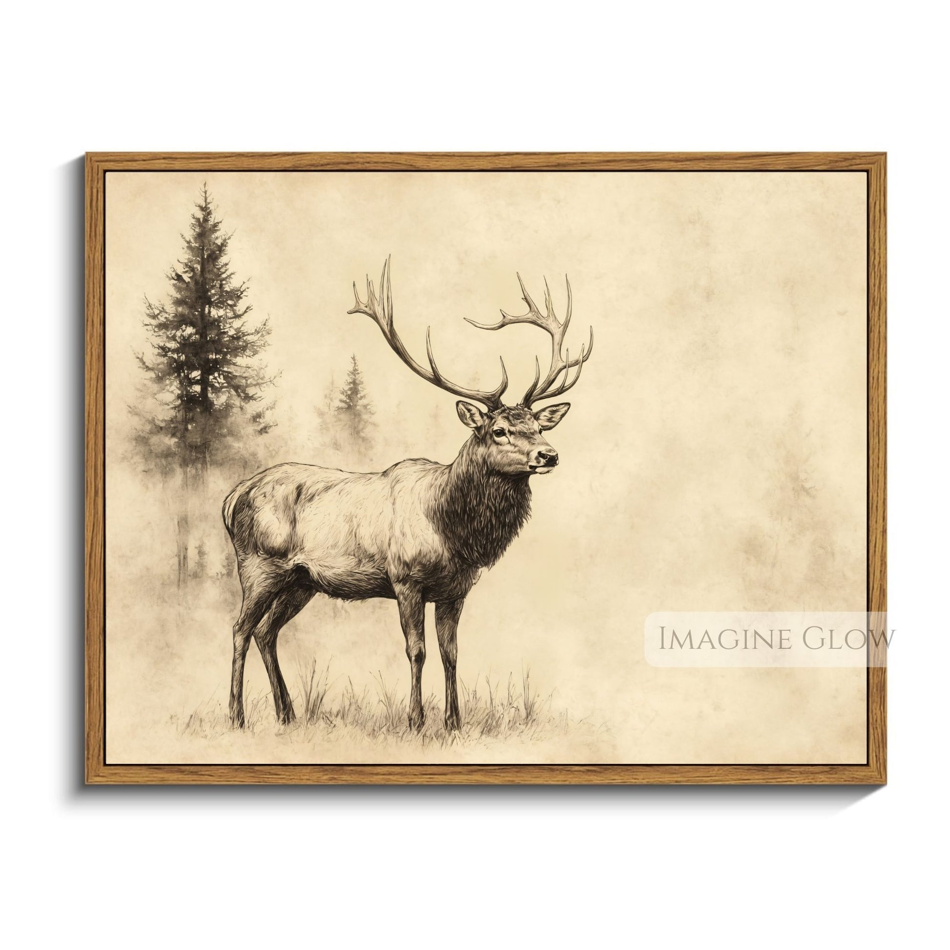 Black-and-white wildlife drawing of a majestic stag.