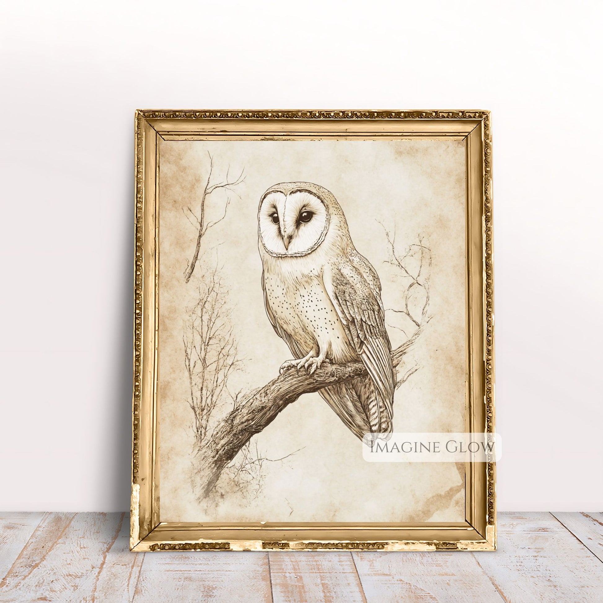 Vintage owl artwork with rustic pencil sketch design.