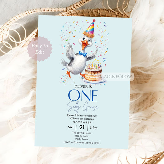 One Silly Goose first birthday invitation for boy