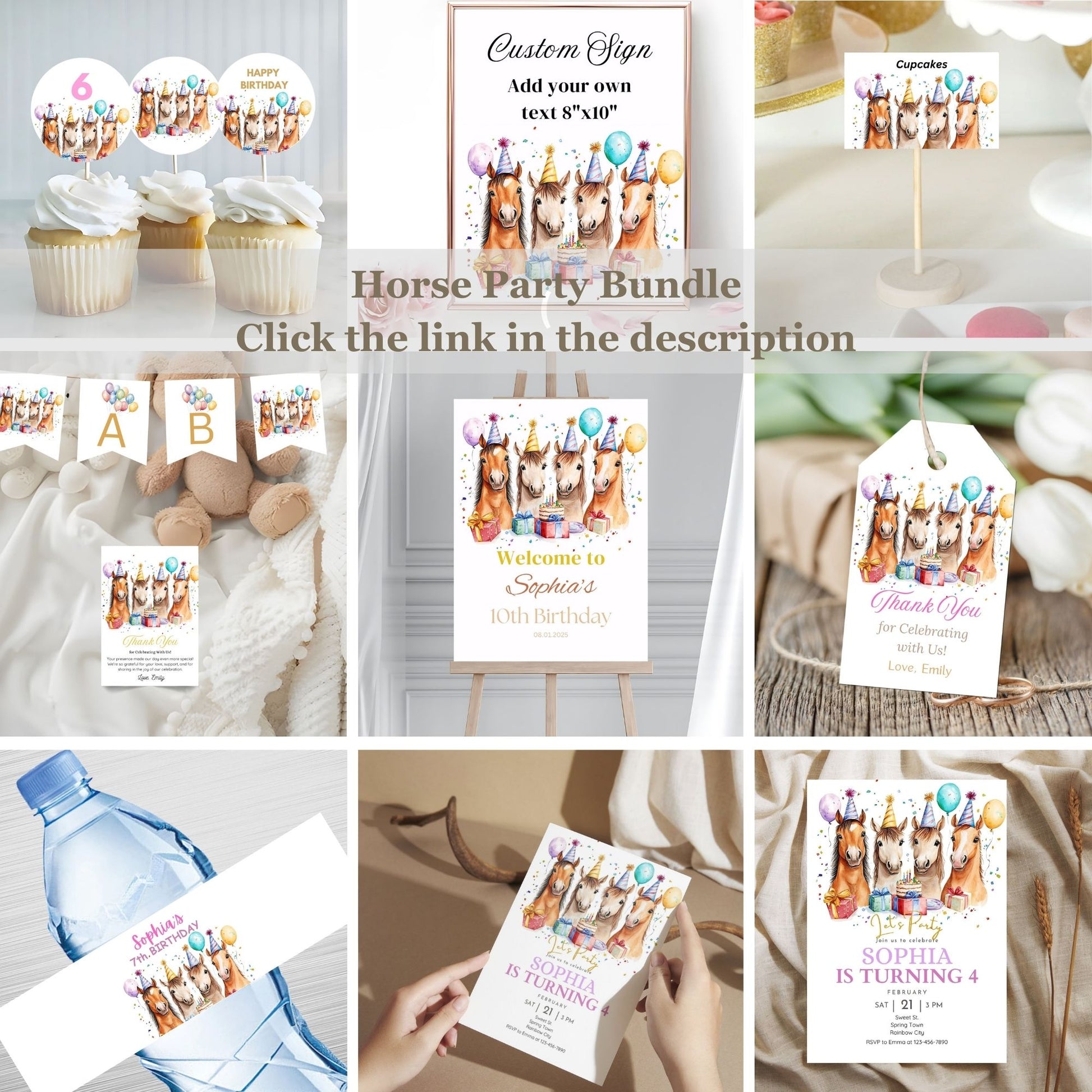 horse birthday party bundle set