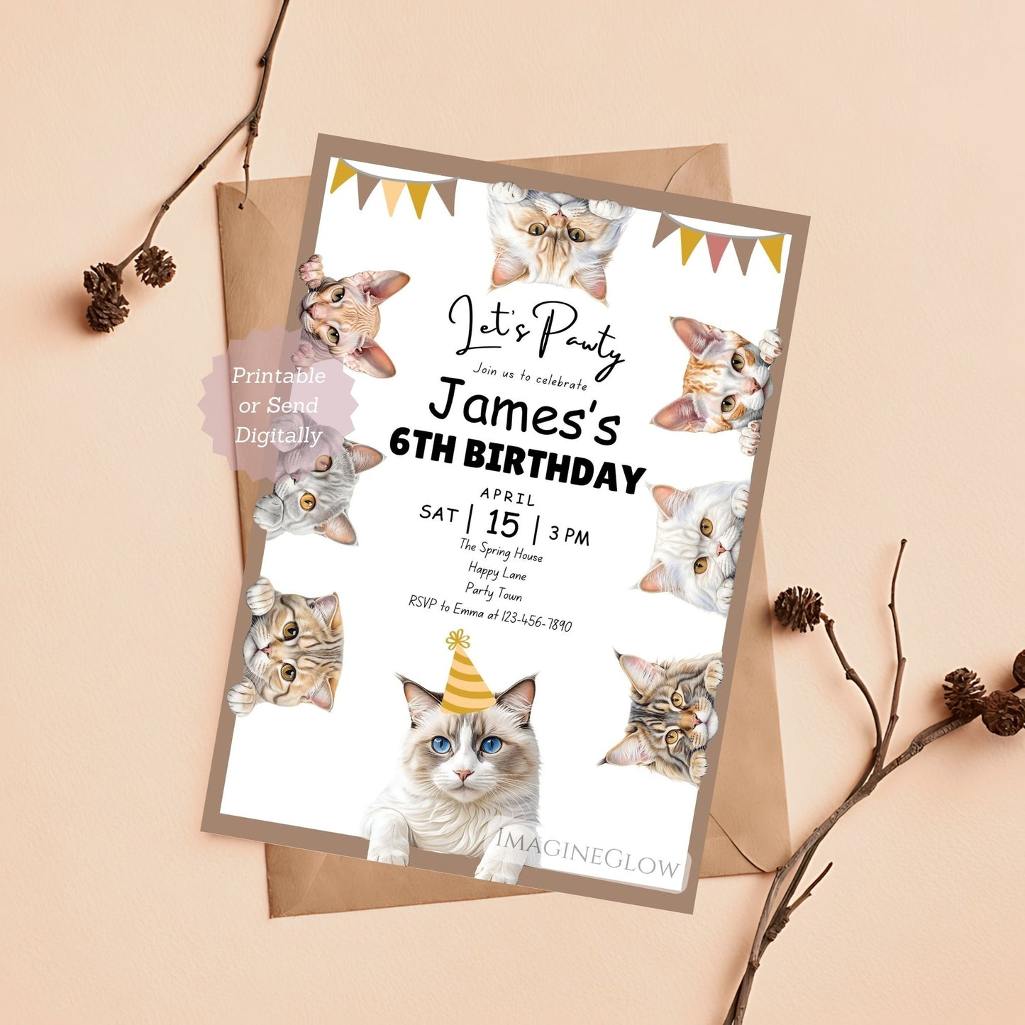 Editable boys cat birthday invitation for kids.