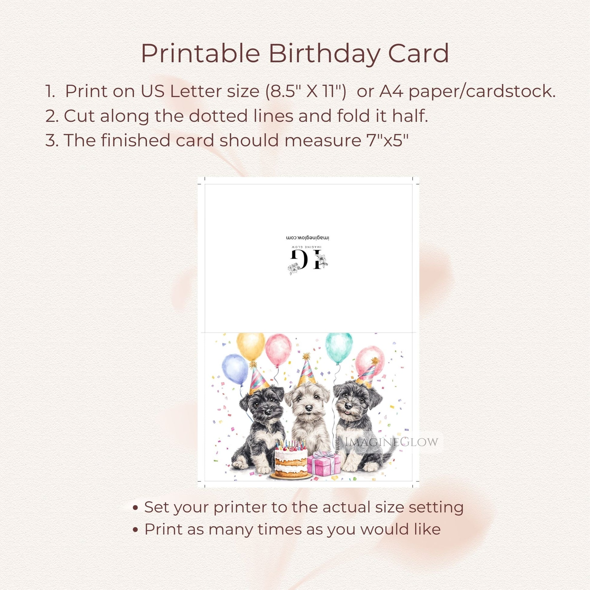 happy birthday schnauzer dog