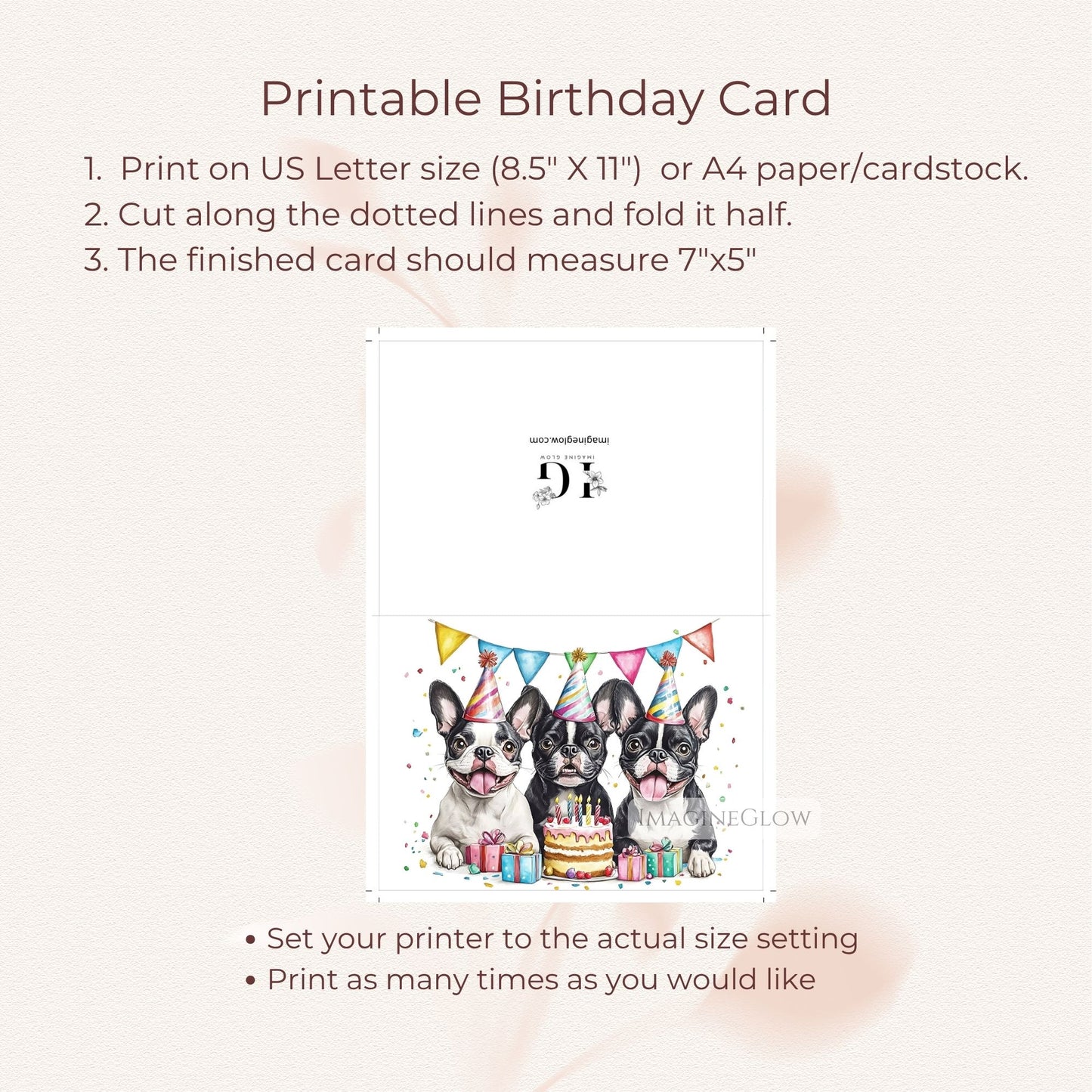 Boston Terrier dog greeting card
adorable Boston Terrier birthday card