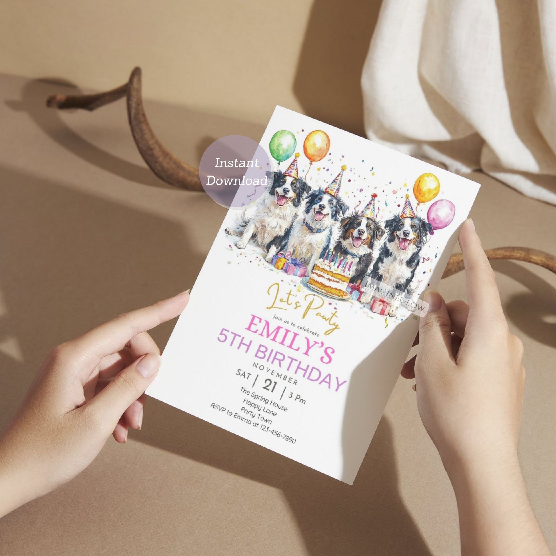 Customizable Border Collie birthday party card.