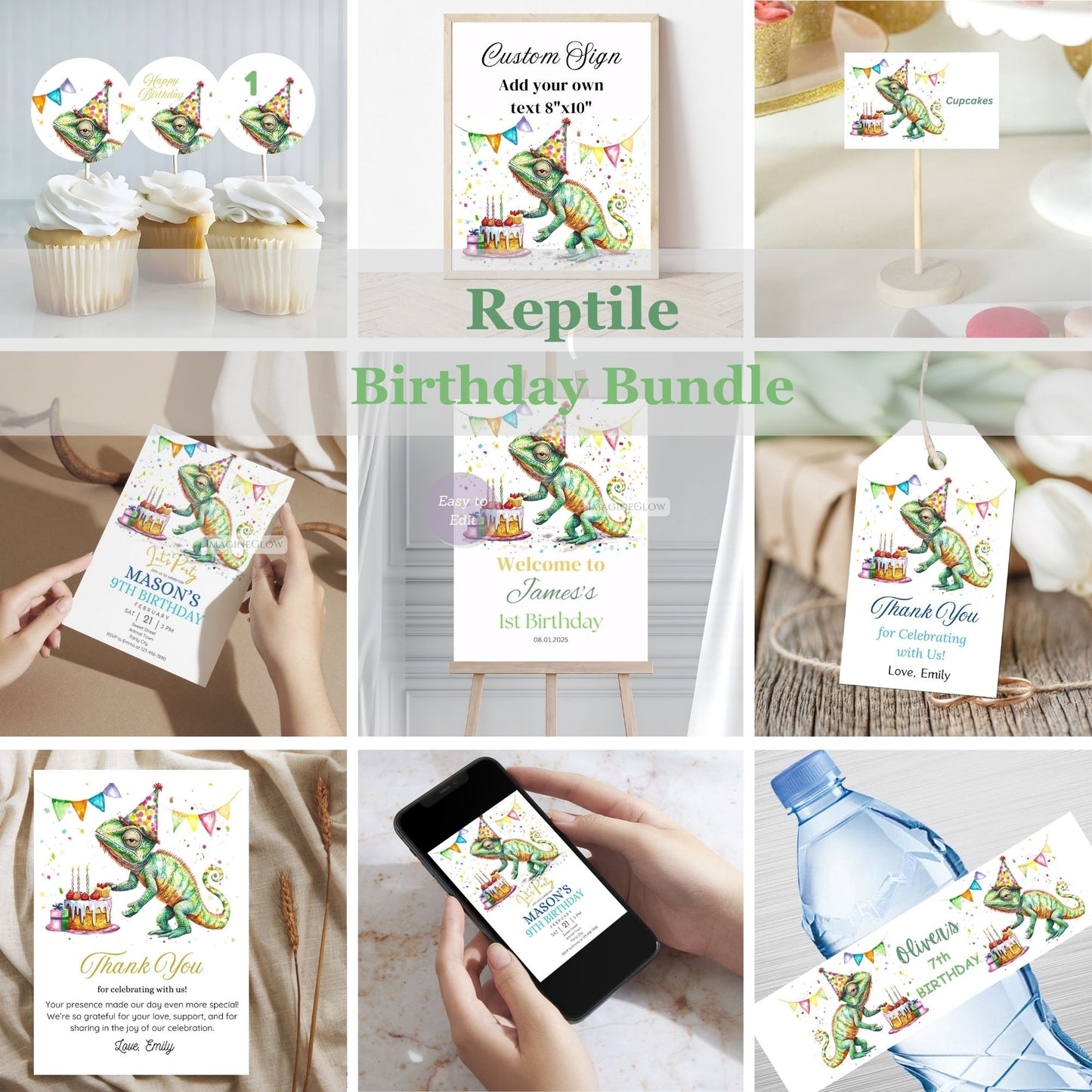 Set of reptile-themed birthday party supplies including signs, invitations, and decorations.