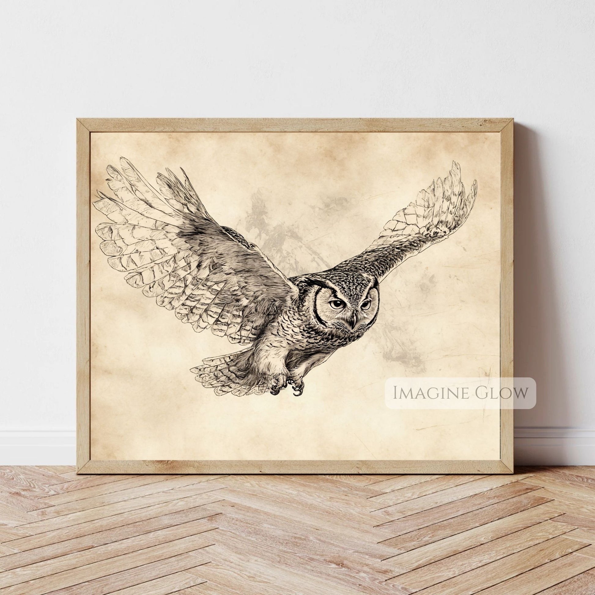 Hand-drawn barn owl printable illustration.