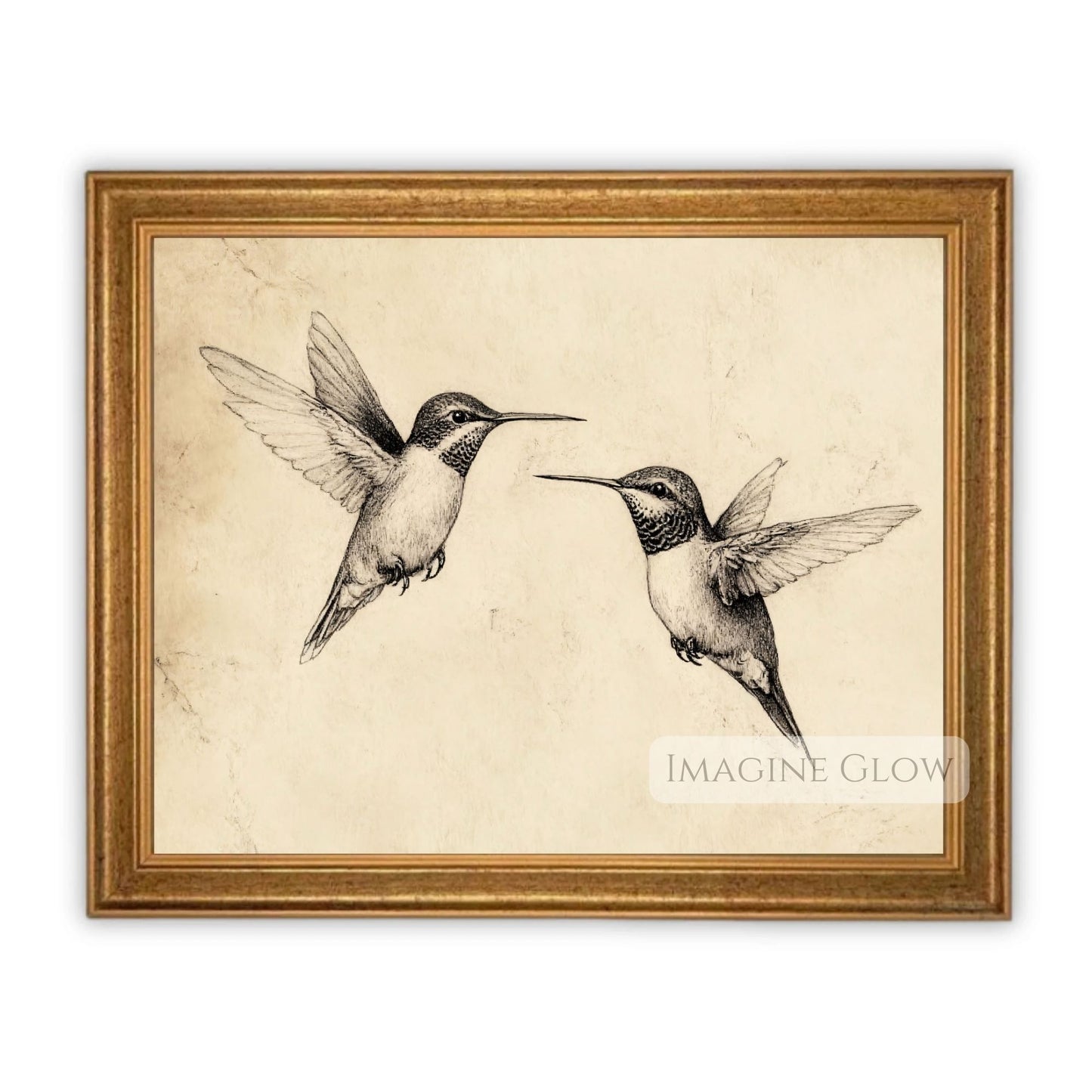 Elegant nature-inspired hummingbird illustration