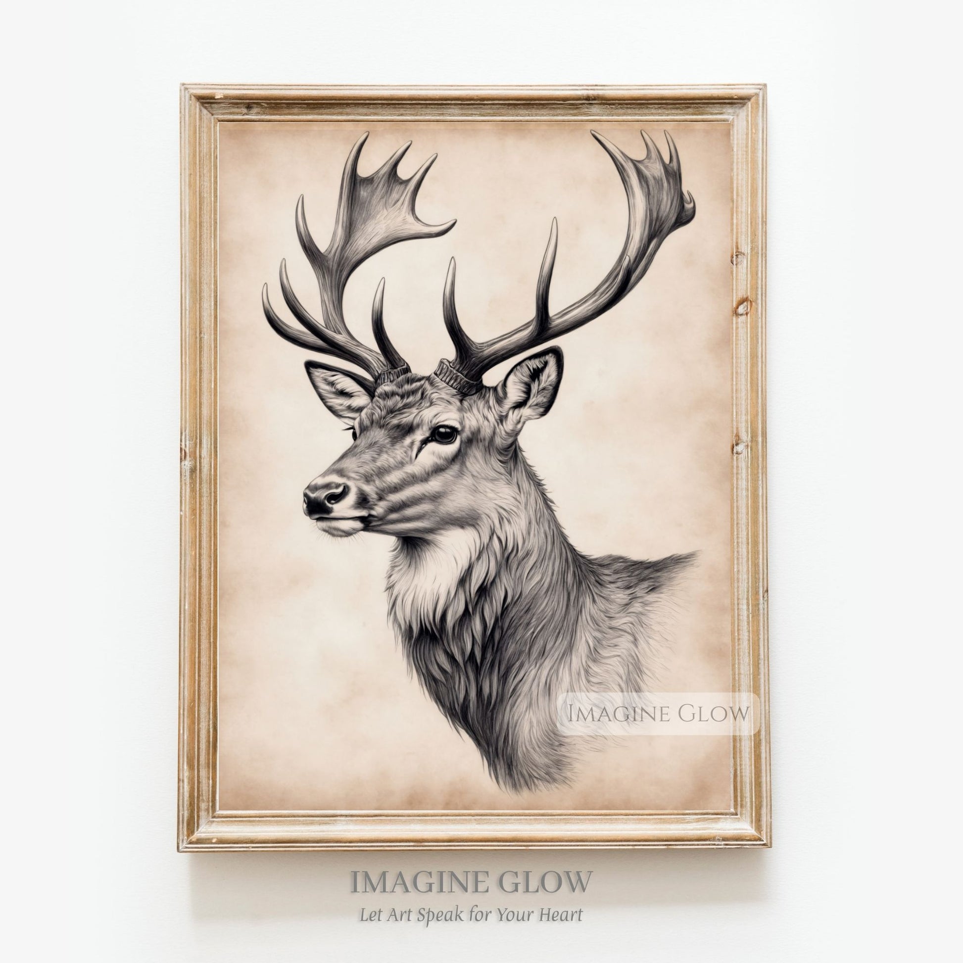 Traditional stag portrait in pencil for wall art.