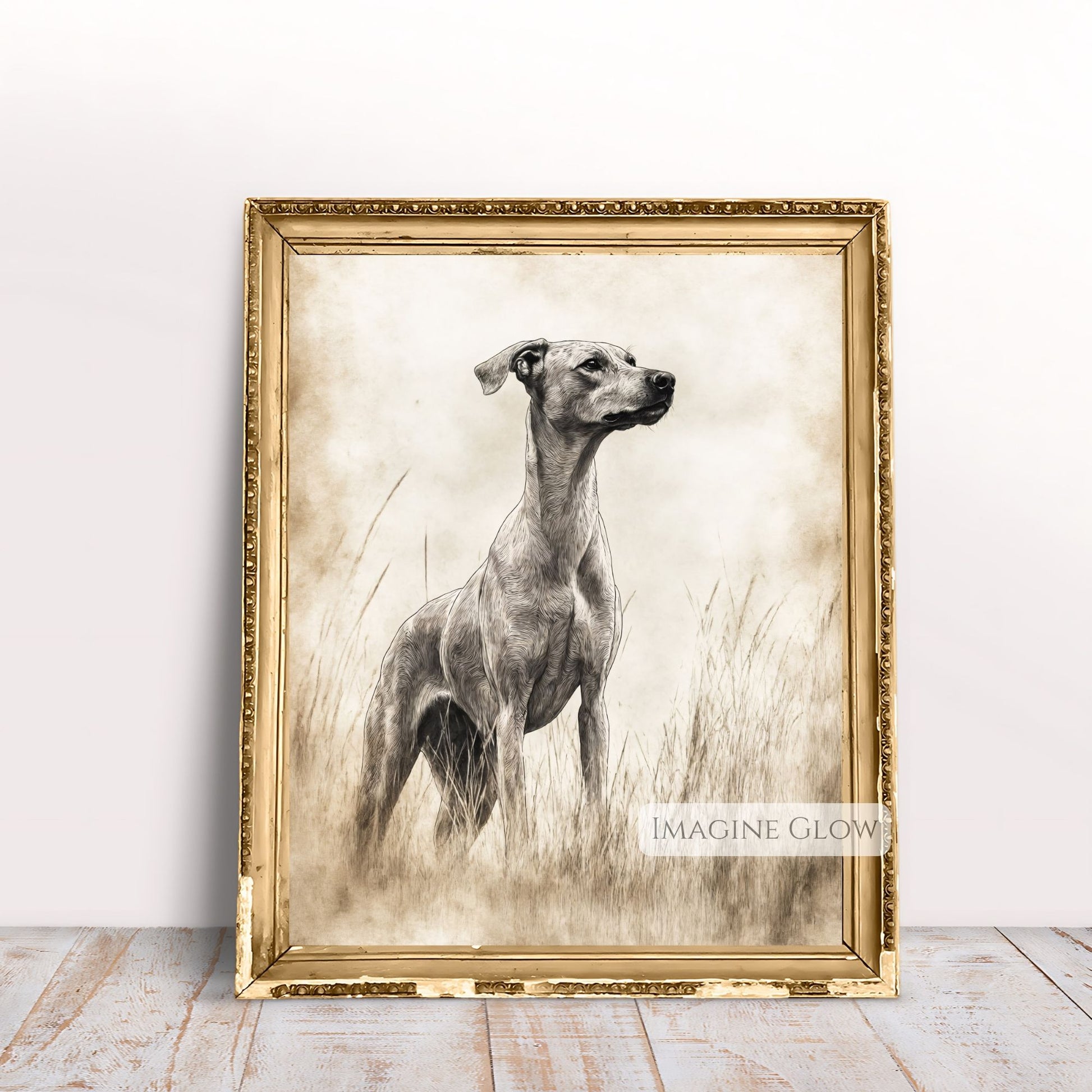 Detailed hunting dog illustration for nature lovers.