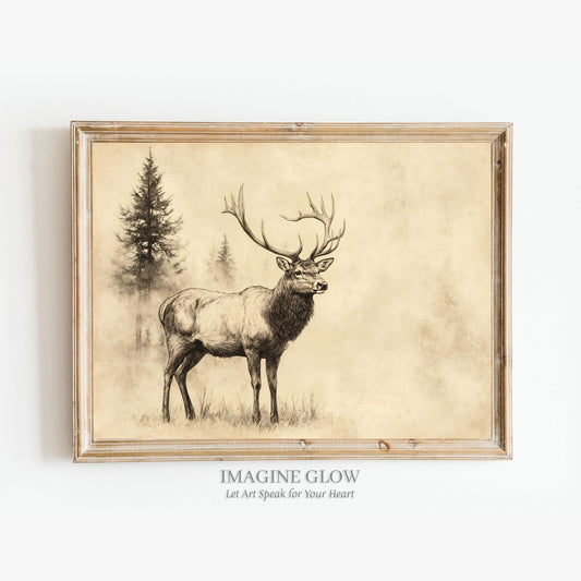 Vintage stag sketch for rustic nature-inspired walls.
