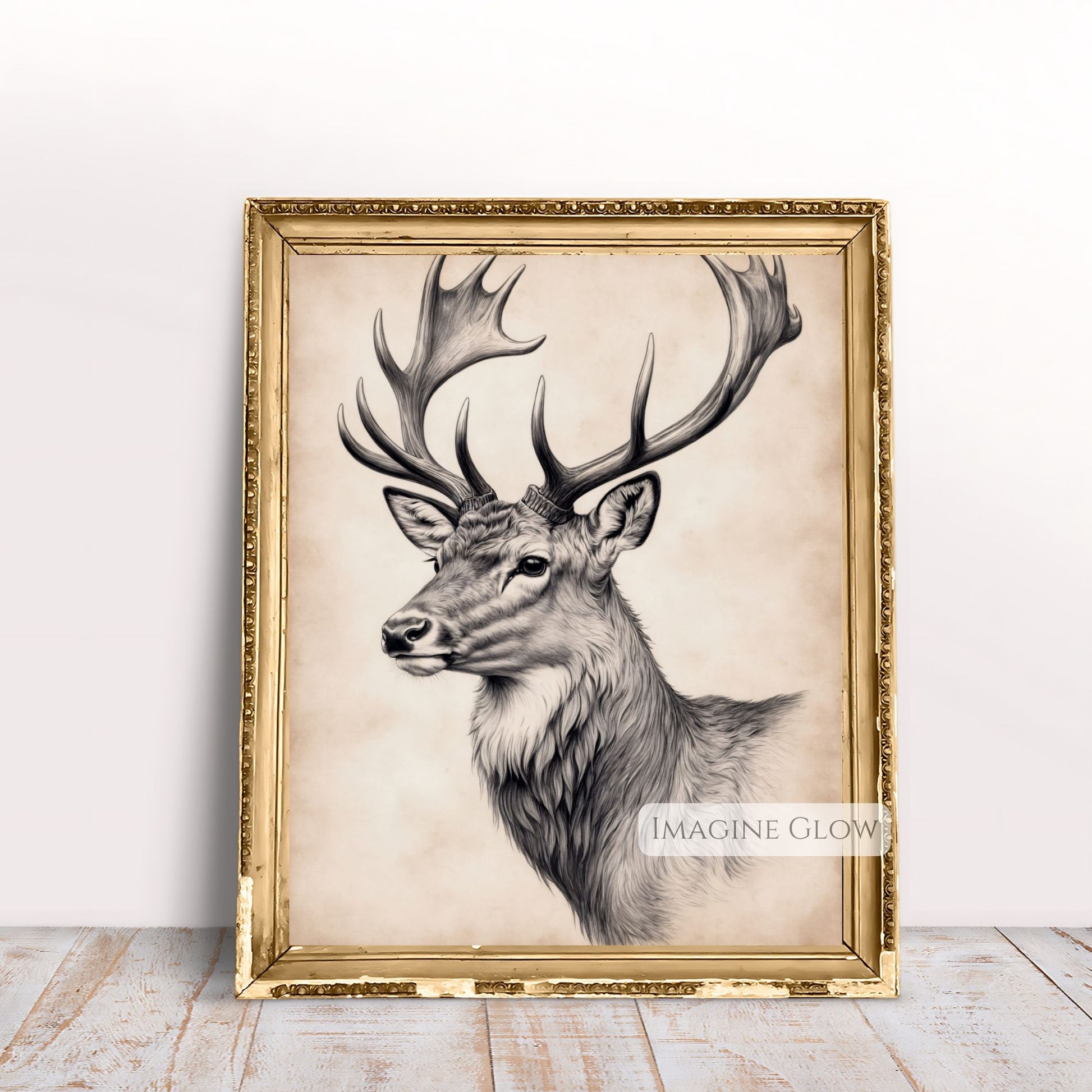 Stag pencil sketch artwork for rustic decor.