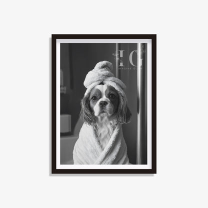 Cavalier King Charles Spaniel in a bathrobe, featured in bathroom wall art for a charming touch.