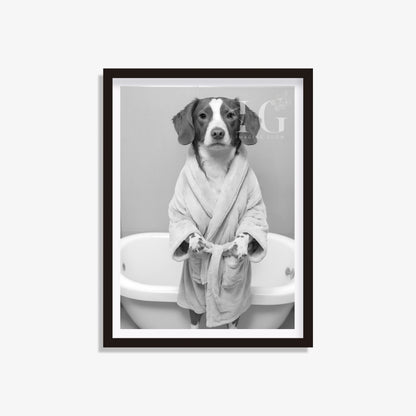 Cute Brittany dog wearing a bathrobe, ideal for bathroom wall decor.