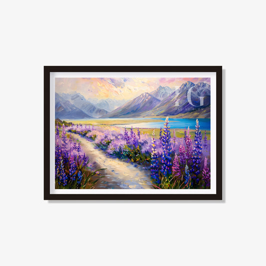 Blooming lupines by Lake Tekapo for nature decor