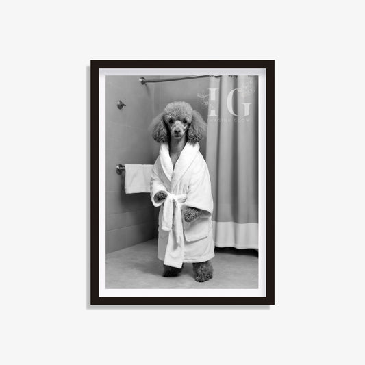 Poodle dog in a bathrobe, whimsical bathroom wall art