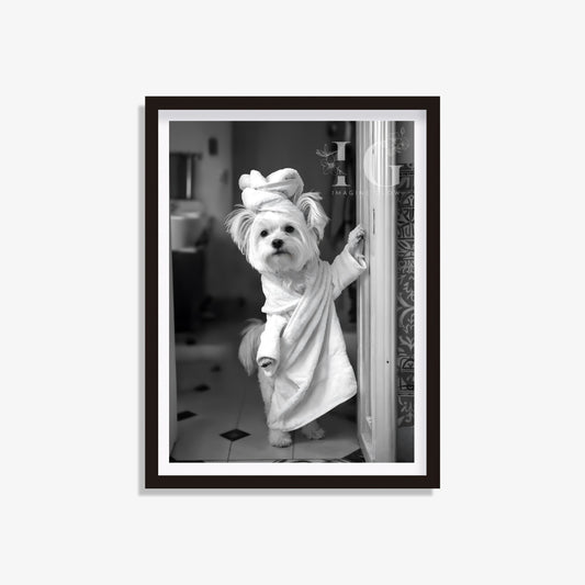 Maltese dog in bathrobe printable featuring a cute design