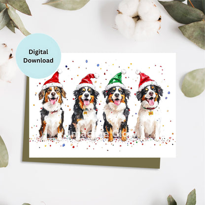 Festive Australian Shepherd Dogs Christmas card with holiday decorations