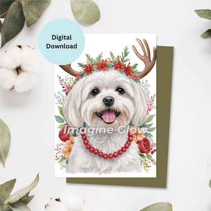 Maltese Dog Christmas Card - Dog Festive Card