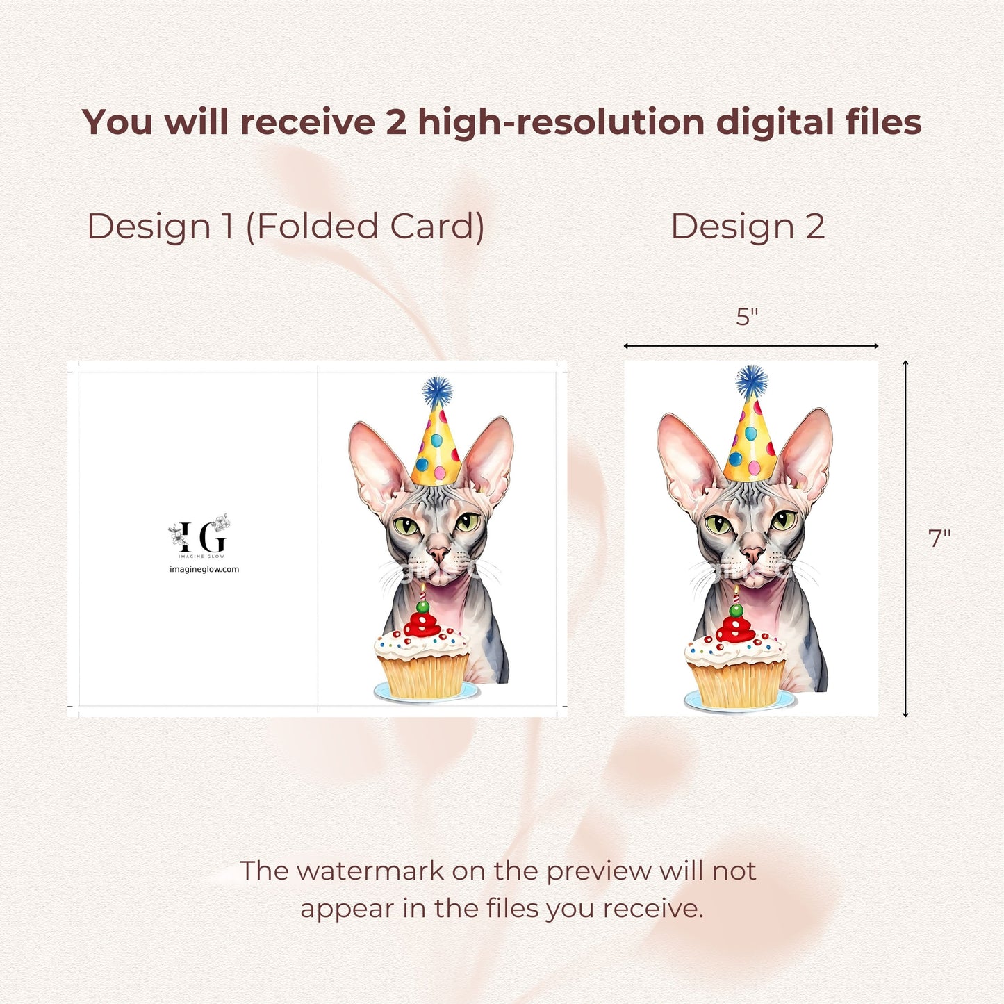 Cute illustration of a Sphynx cat for a birthday greeting