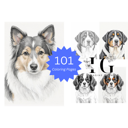 Shetland Sheepdog, Sheltie, Cavalier King Charles Spaniel, Greater Swiss Mountain Dog, coloring pages