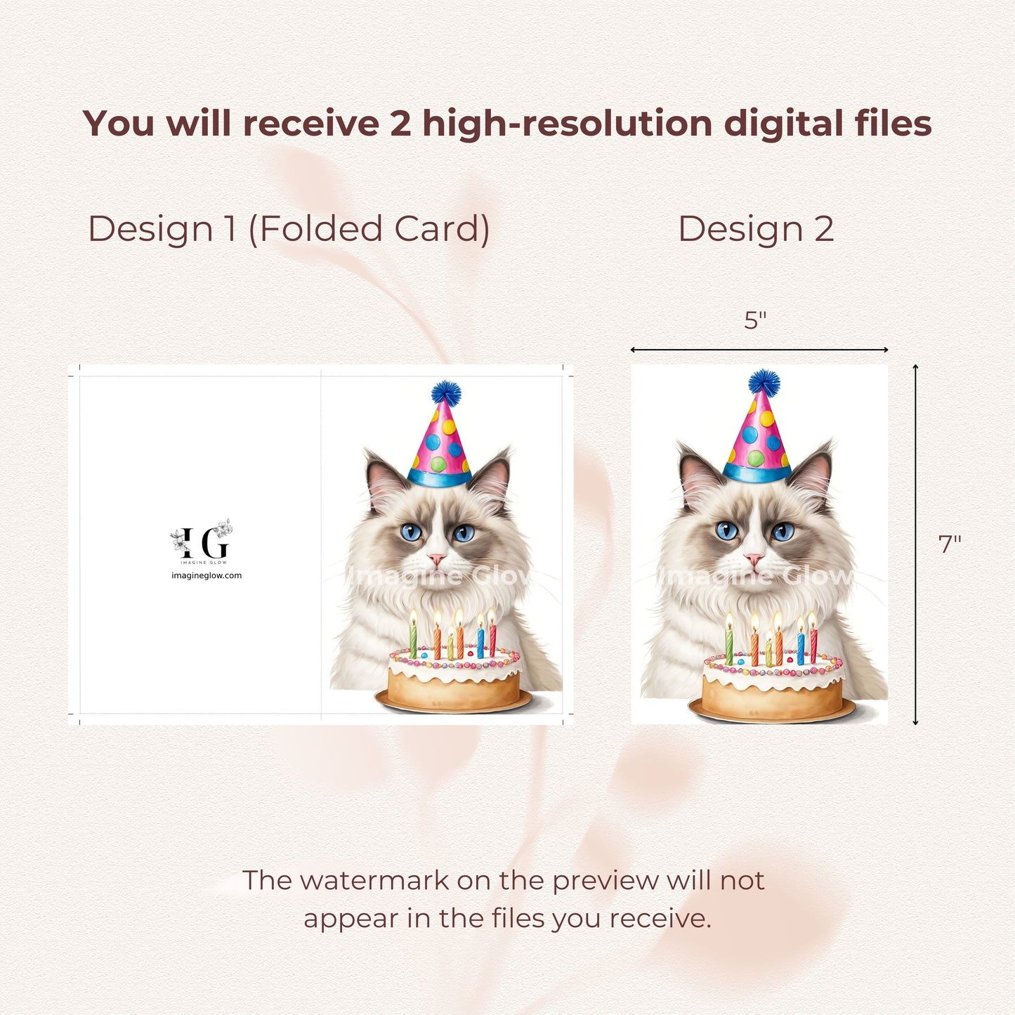 Cute illustration of a Ragdoll cat for a birthday greeting