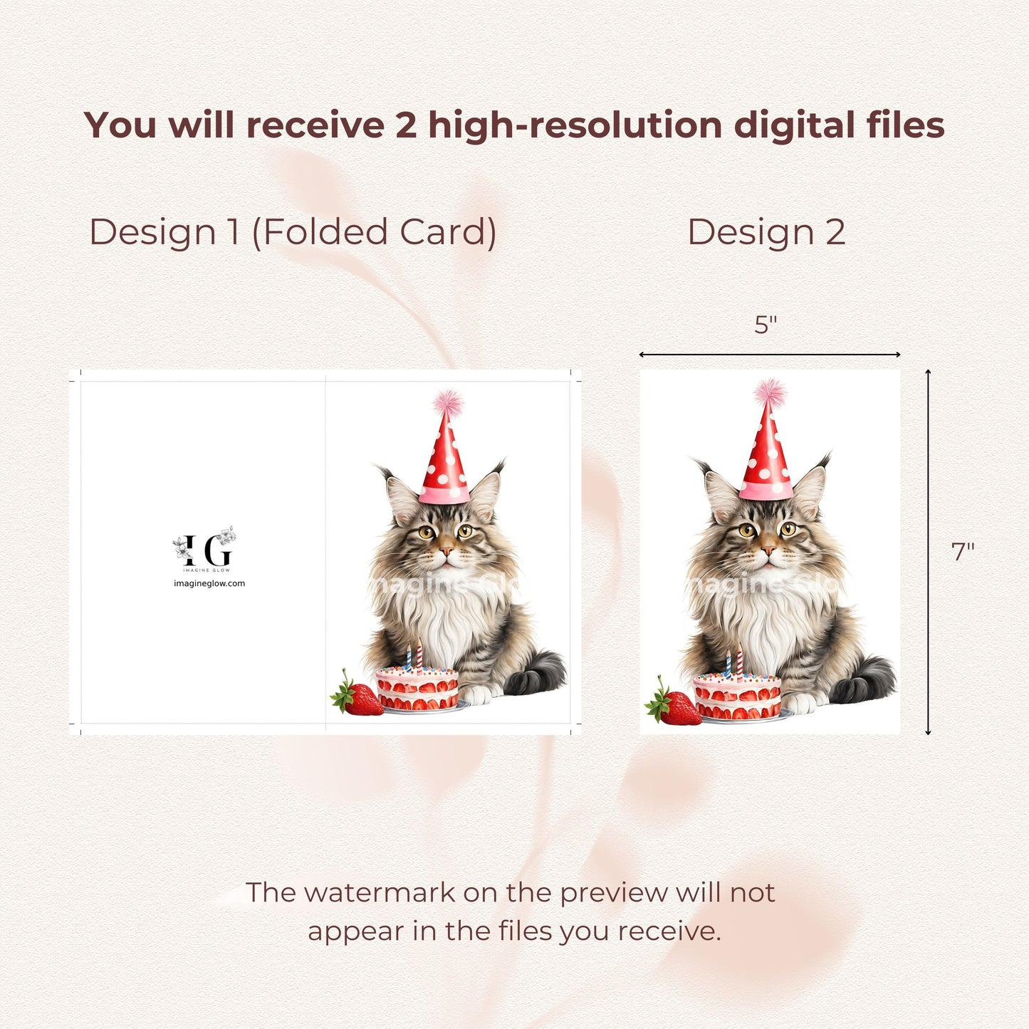 Cute illustration of a Maine Coon cat for a birthday greeting