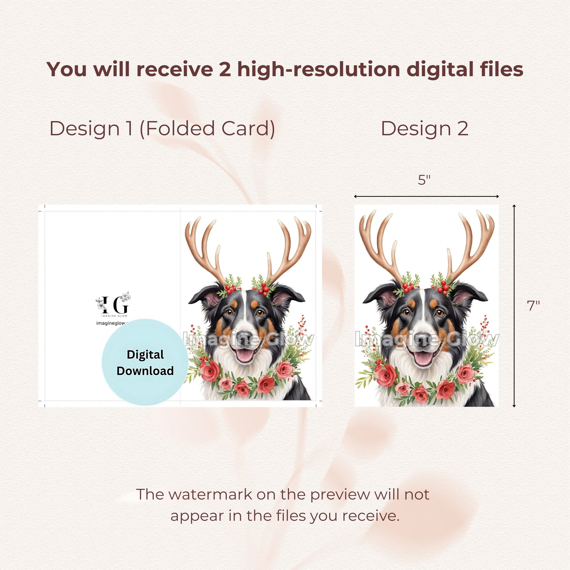 Festive Border Collie dog design for holiday greetings.