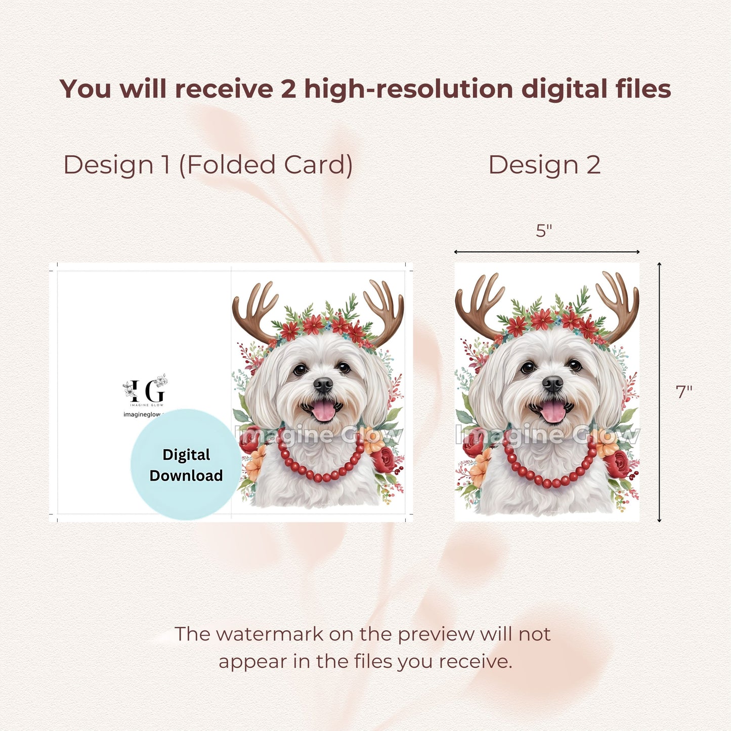 Maltese Dog Christmas Card - Dog Festive Card