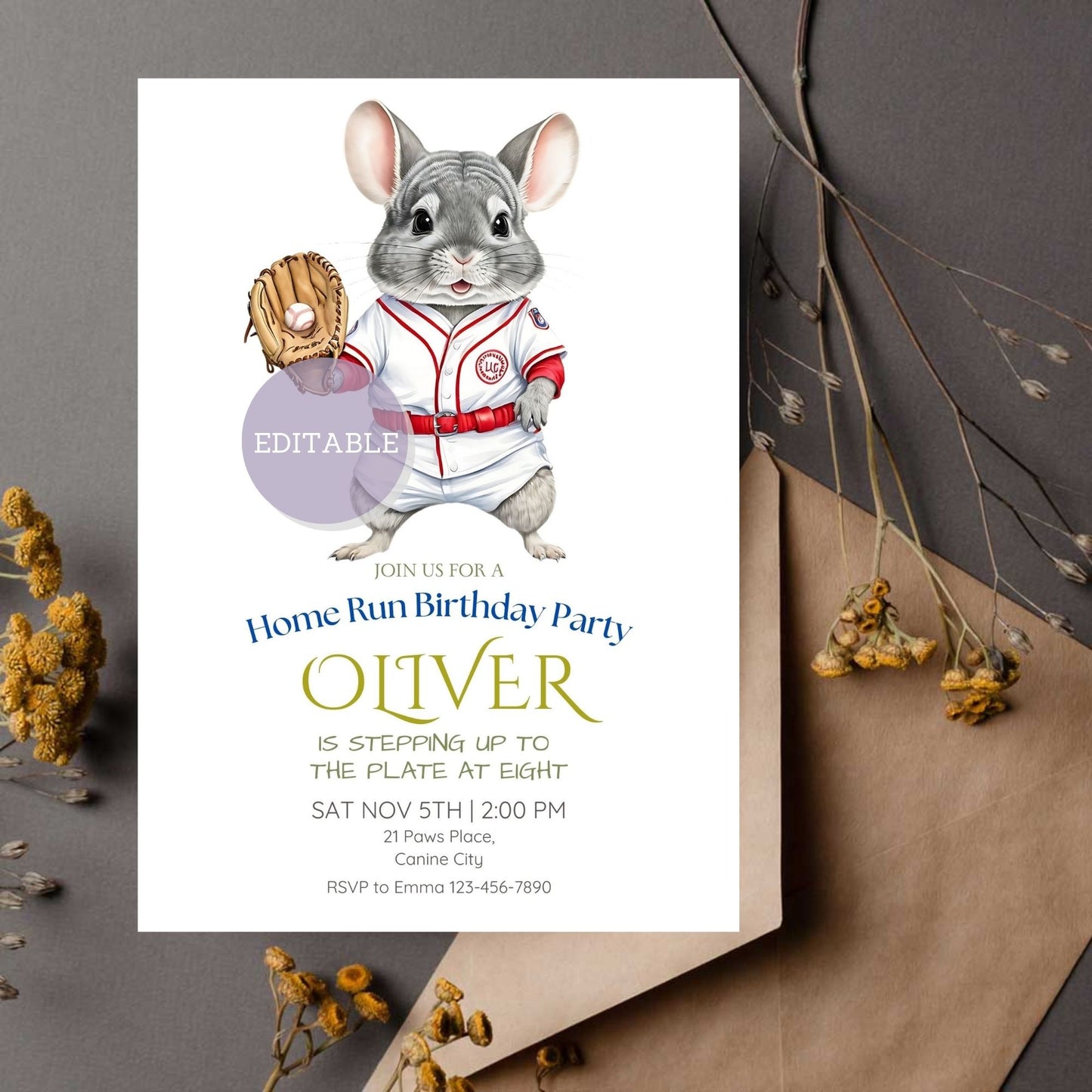 Editable baseball-themed chinchilla birthday invitation template, customizable with Canva.