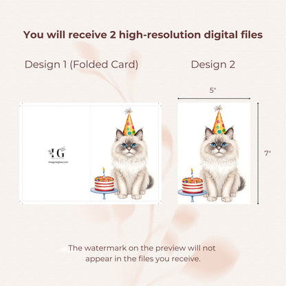 Cute illustration of a Ragdoll cat for a birthday greeting