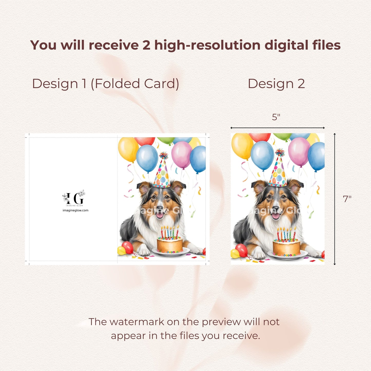 Cute pet greeting card showcasing a Shetland Sheepdog for birthday celebrations