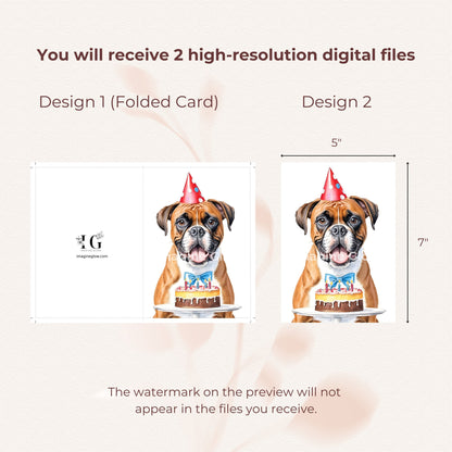 Cute Boxer dog design for birthday greetings.