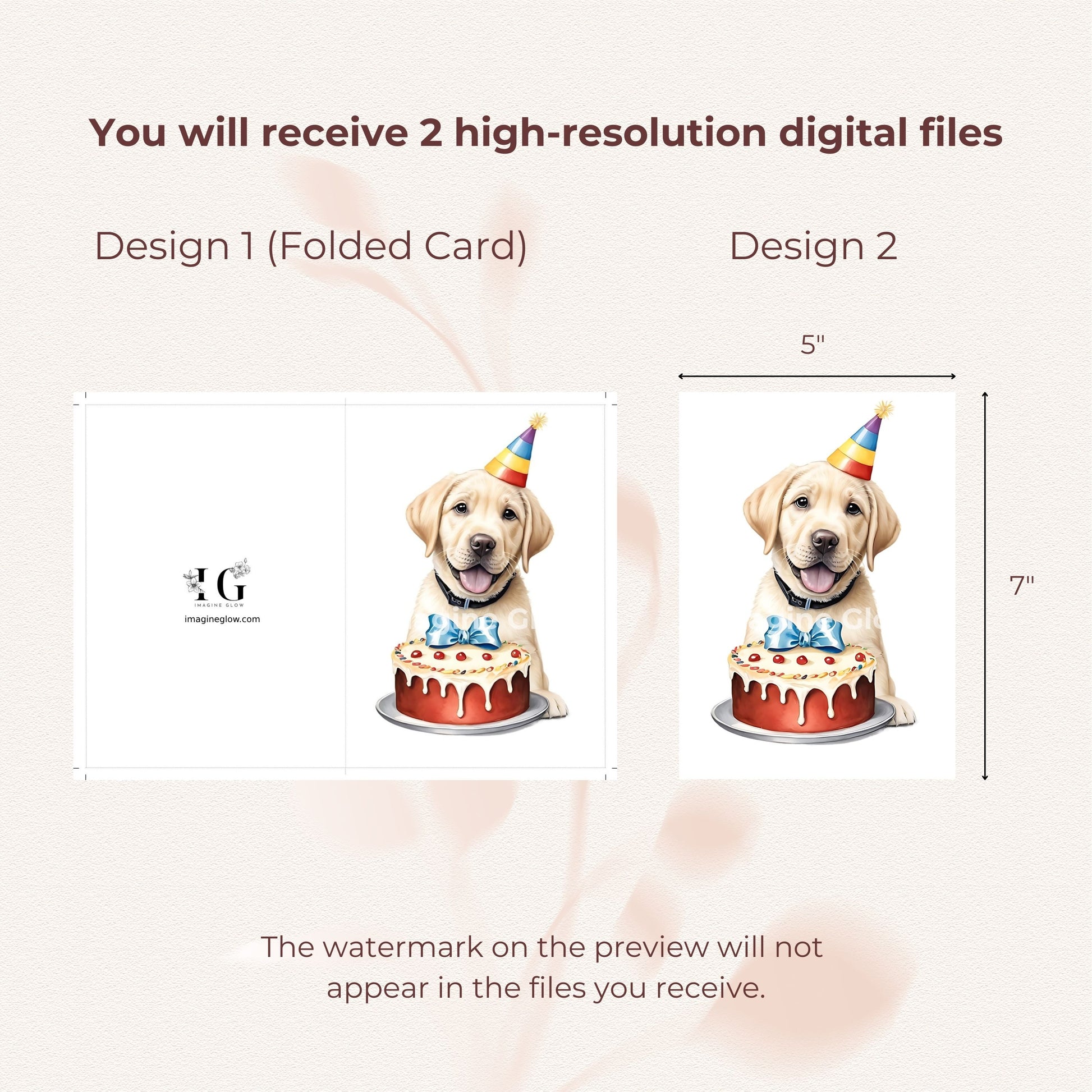 Adorable Retriever illustration for a birthday greeting