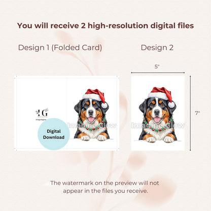 Adorable Bernese Mountain Dog Christmas card for holiday greetings.