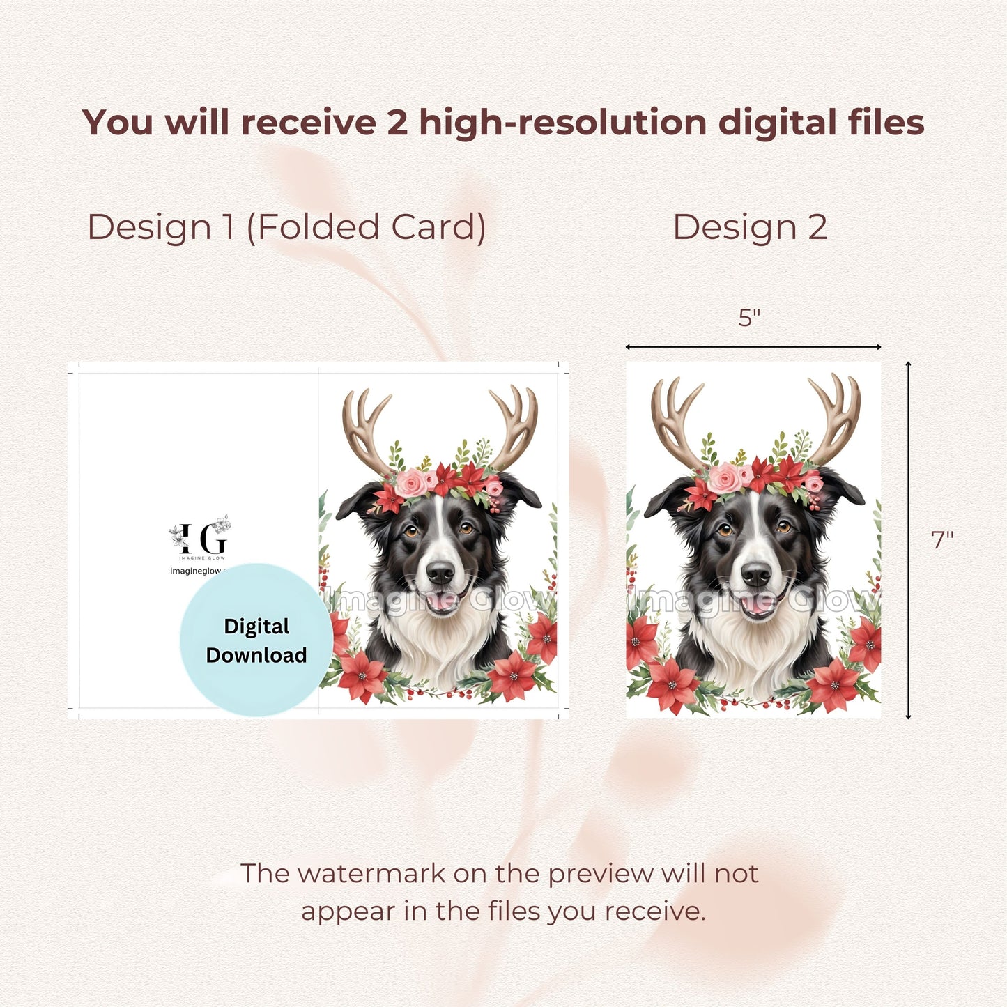 Festive Border Collie dog design for holiday greetings.