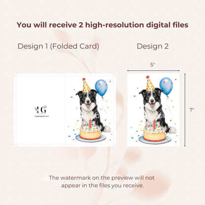 Adorable Border Collie dog design for birthday greetings.