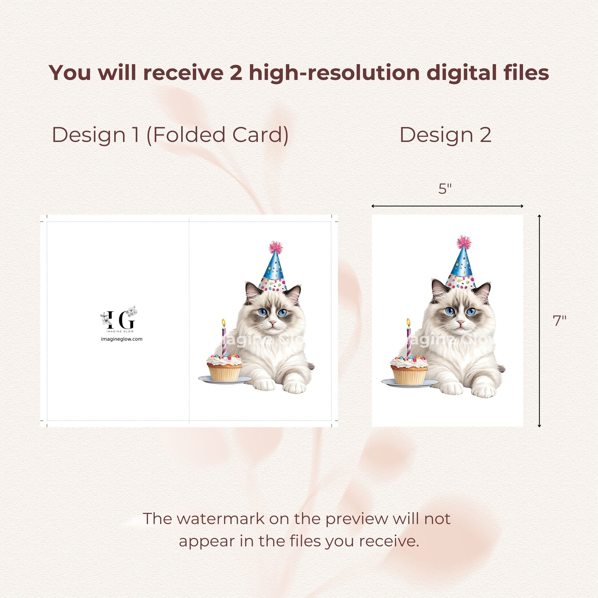 Cute illustration of a Ragdoll cat for a birthday greeting